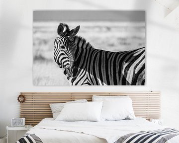 Steppe zebra / Zebra in black and white - Etosha, Namibia by Martijn Smeets