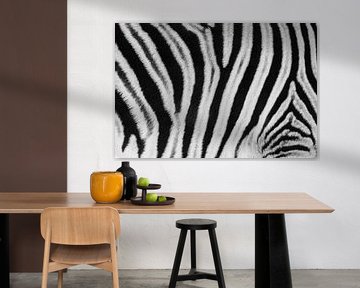 Zwart-wit detail van de vacht van een steppezebra / zebra - Etosha, Namibië von Martijn Smeets