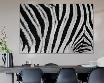 Black and white detail of the fur of a steppe zebra / zebra - Etosha, Namibia by Martijn Smeets