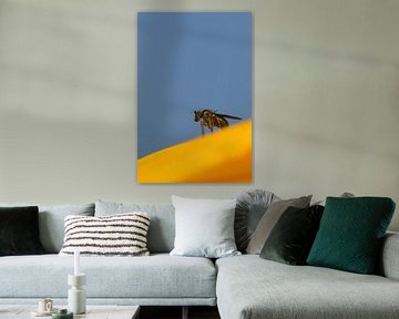 Mug op zonnebloem by Sascha van Dam