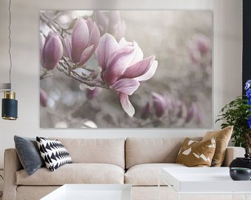 Magnolias rose pâle sur Marina de Wit