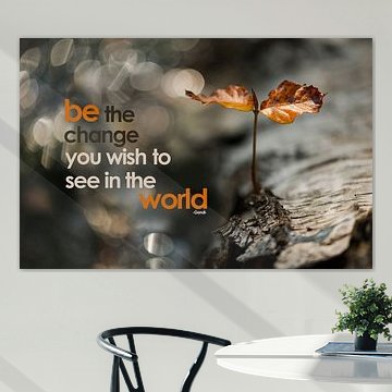 Be the change you wish to see in the world
