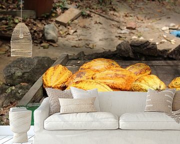 Cacao van Ingrid Meuleman