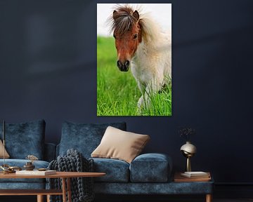 Pony poster