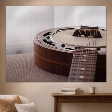 Een Mandoline Banjo by Mr White Takes Pictures