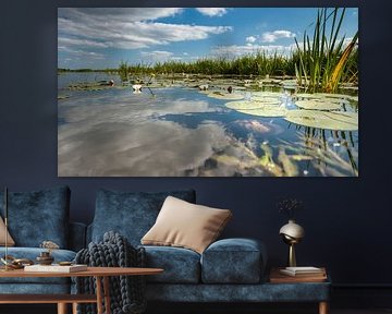 Nénuphar sur la surface de l'eau en miroir avec des nuages blancs sur Fotografiecor .nl