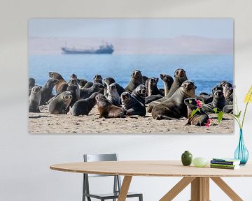 Colony of fur seals / seals at Walvis Bay, Namibia by Martijn Smeets