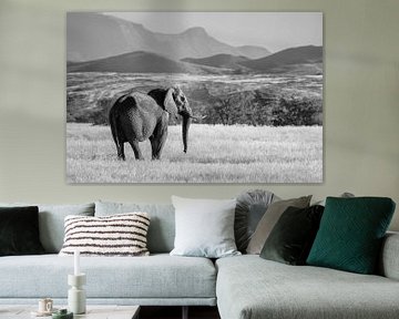 Photo en noir et blanc d'un éléphant du désert / éléphant dans le paysage - Twyfelfontein, Namibie sur Martijn Smeets