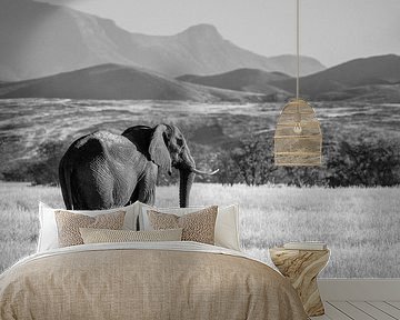 Black and white photo of desert elephant / elephant in the landscape - Twyfelfontein, Namibia by Martijn Smeets