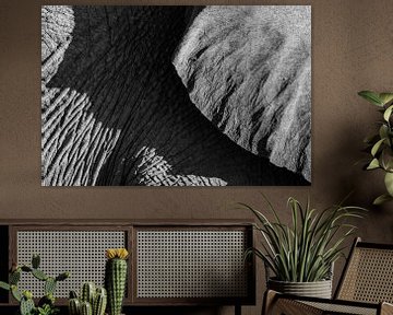 Photo de détail en noir et blanc d'un éléphant du désert / éléphant - Twyfelfontein, Namibie sur Martijn Smeets