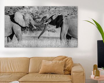 Zwart-wit foto van twee vechtende mannetjes woestijnolifanten / olifanten - Twyfelfontein, Namibië van Martijn Smeets