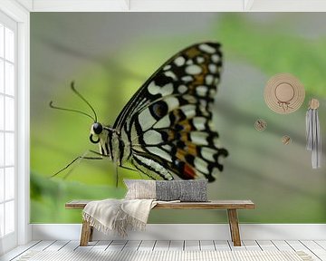 Vlinder in close up - butterfly in close up - Schmetterling - Papillon van Ineke Duijzer