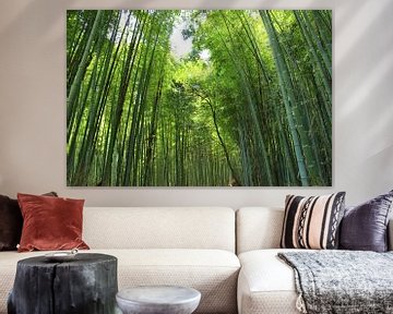 Groen Bamboe Bos, Kyoto Japan van By SK Photography