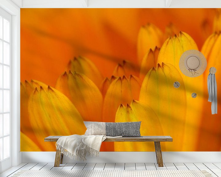Sfeerimpressie behang: Goudsbloem  bloemen macrofotografie van Watze D. de Haan