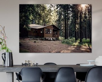 Cabane en forêt sur Oliver Henze