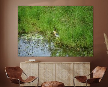 reiger aan het water by Bart Cornelis de Groot