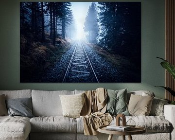 Ontsnap naar het mystieke Harz gebergte van Oliver Henze