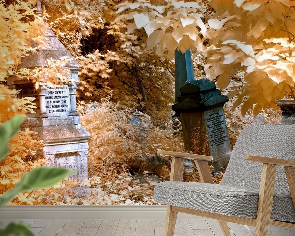 Raumvorschau