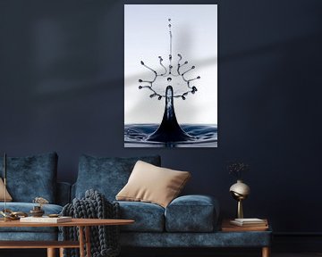 Black splash waterdrop van Focco van Eek