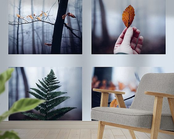 Aperçu de la chambre