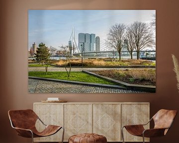 Le parc au pied du pont Erasmus à Rotterdam sur MS Fotografie | Marc van der Stelt