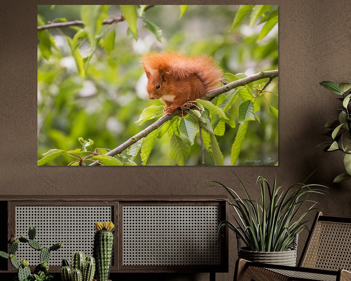 Voorbeeld van het werk in een kamer