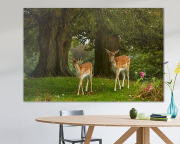 Les Bambi sur Lars van de Goor