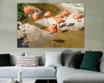 oranje flamingo van Bart Cornelis de Groot