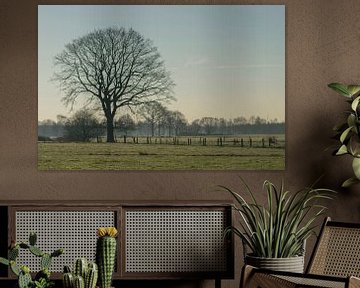 Hollands landschap by Patricia van Loock