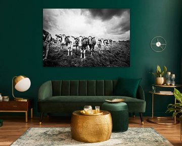 Koeien in de regen, Zoeterwoude 22-09-2018 van Jordy Kortekaas