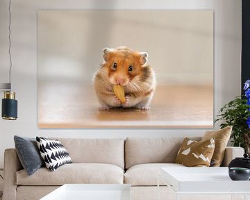 Hamster von Yajie Wang-Campagne