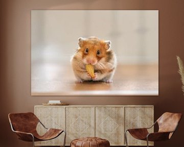 Hamster von Yajie Wang-Campagne