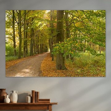 Beukenlaan in herfsttooi