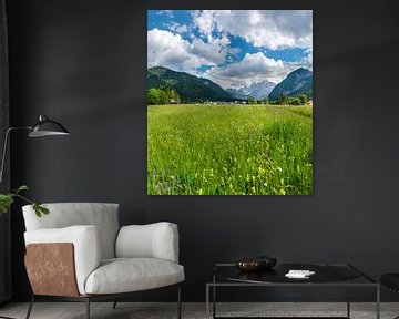 Prairie pleine de fleurs alpines, Valbruna, Udine, Italie sur Rene van der Meer