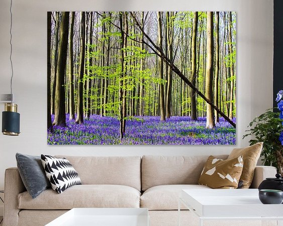 Aperçu de la chambre