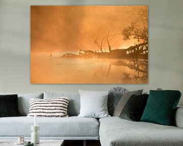 Mist en zon in de Brabantse Biesbosch van Judith Borremans