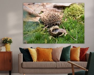 Miniature autumn  landscape