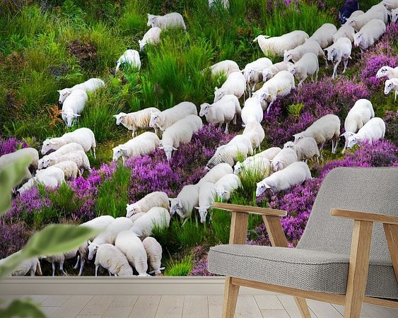 Voorbeeld van het werk in een kamer