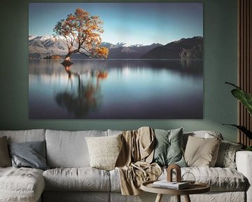 Frailty - Lake Wanaka von Thom Brouwer