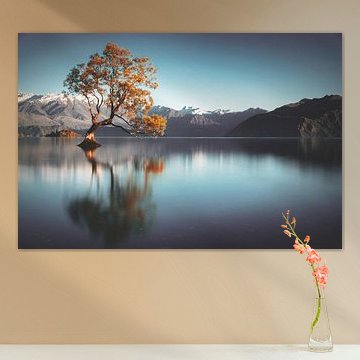 Frailty by Thom Brouwer