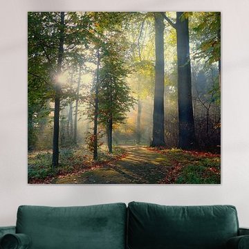 Magisch licht in Amelisweerd