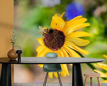 Sonnenblume mit einer Honigbiene... von Bert v.d. Kraats Fotografie