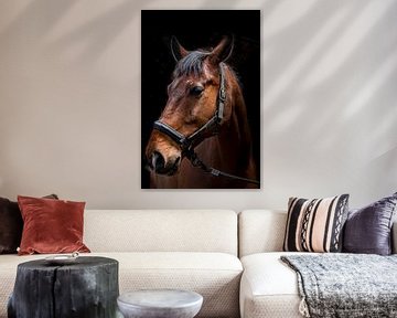 Paard van Frames by Frank