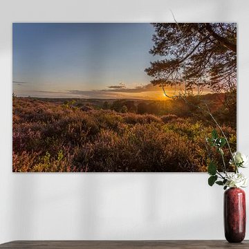 Zonsondergang boven de paarse heide op de Posbank