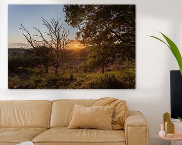 Zonsondergang boven de paarse heide op de Posbank van Stefan van der Wijst