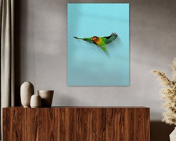 Flying lovebird by Bianca Wisseloo