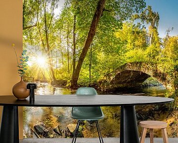 Old bridge over a creek by Günter Albers