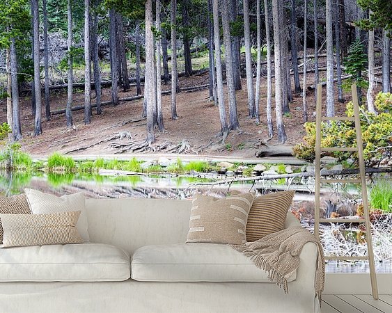 Aperçu de la chambre