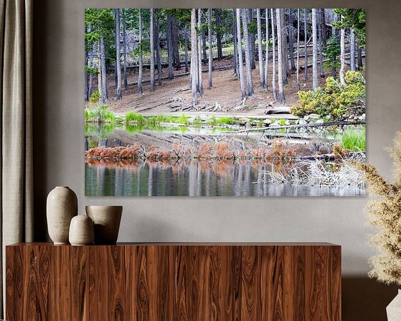 Aperçu de la chambre