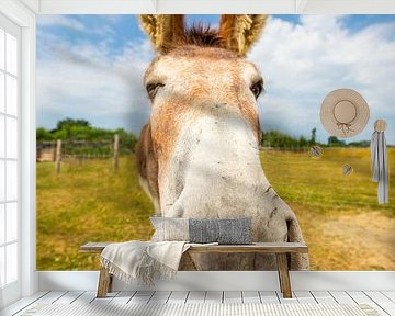 Dickes Zwinkern von Esel Teun!